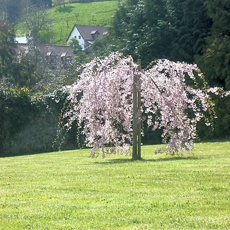 Bed & Breakfast D'anciennes 